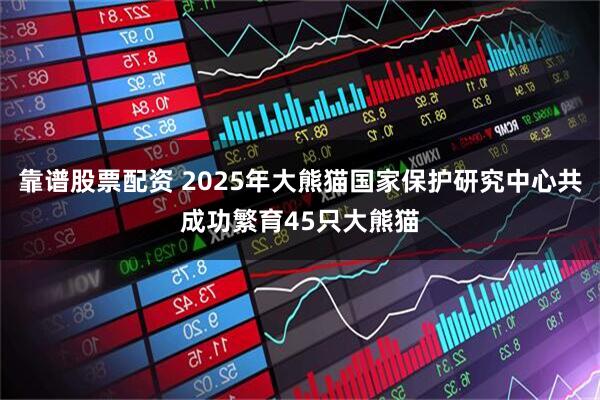 靠谱股票配资 2025年大熊猫国家保护研究中心共成功繁育45只大熊猫
